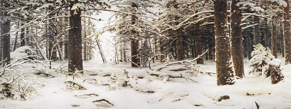 Шишкина «Зима»